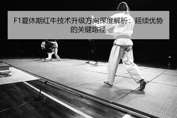 F1夏休期红牛技术升级方向深度解析：延续优势的关键路径